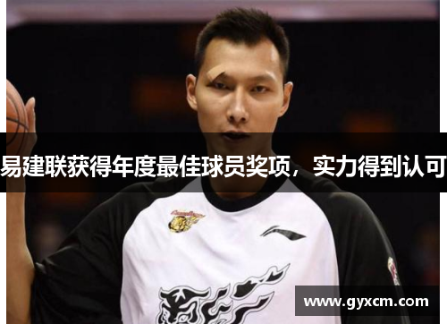 易建联获得年度最佳球员奖项，实力得到认可
