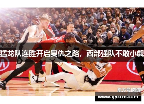 猛龙队连胜开启复仇之路，西部强队不敢小觑