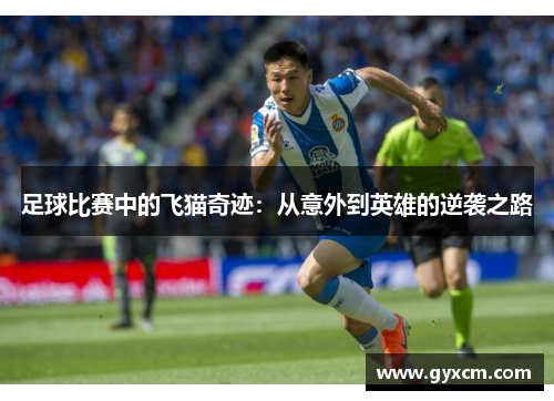 足球比赛中的飞猫奇迹：从意外到英雄的逆袭之路